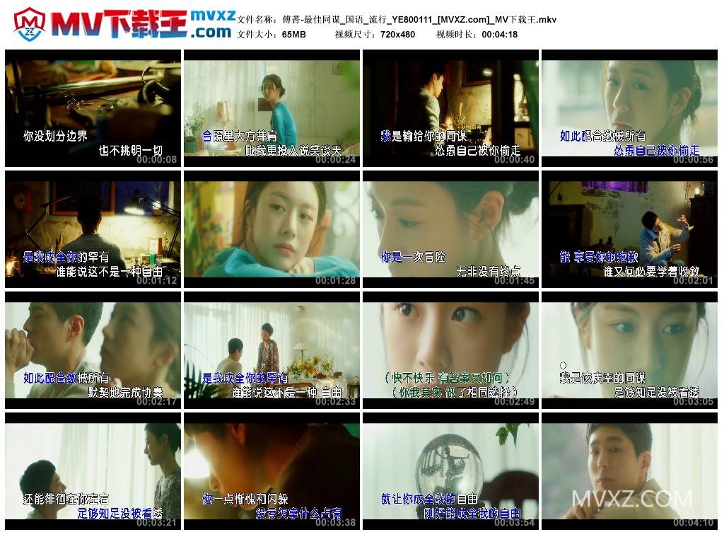 傅菁-最佳同谋_国语_流行_YE800111